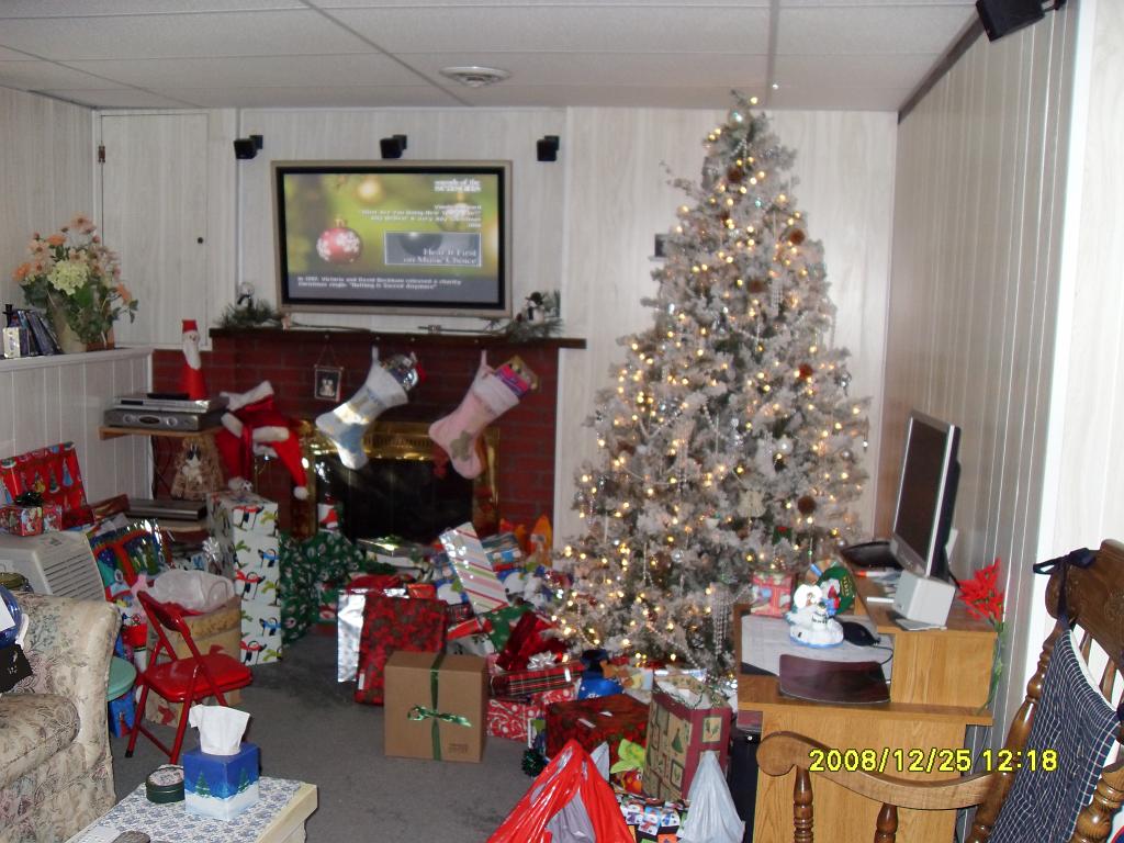 Christmas 2008 049.JPG